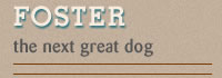 foster seattle dog